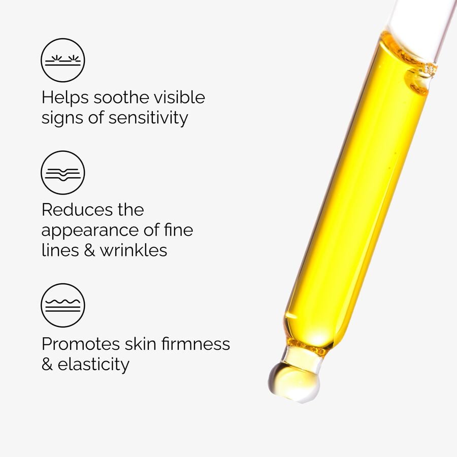 The Ordinary Face Oil - 100% Fermented Rose Hip Seed | Product Guide　XX