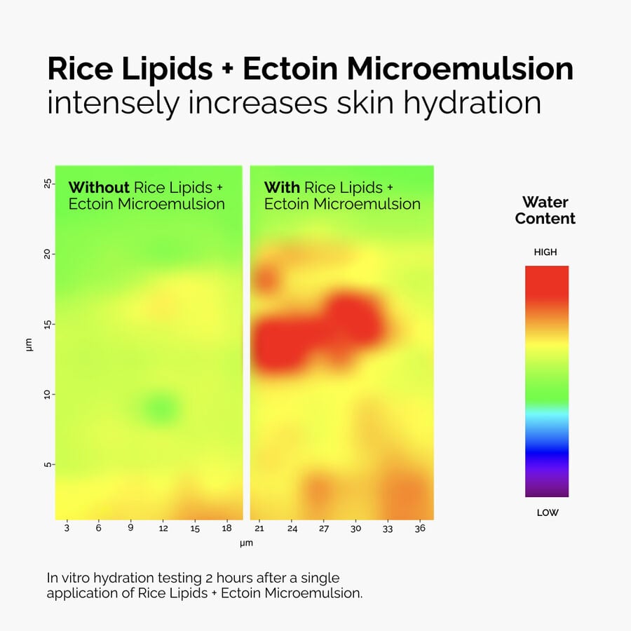 The Ordinary Moisturizer - Rice Lipids + Ectoin Microemulsion — Full Product Details　Ih